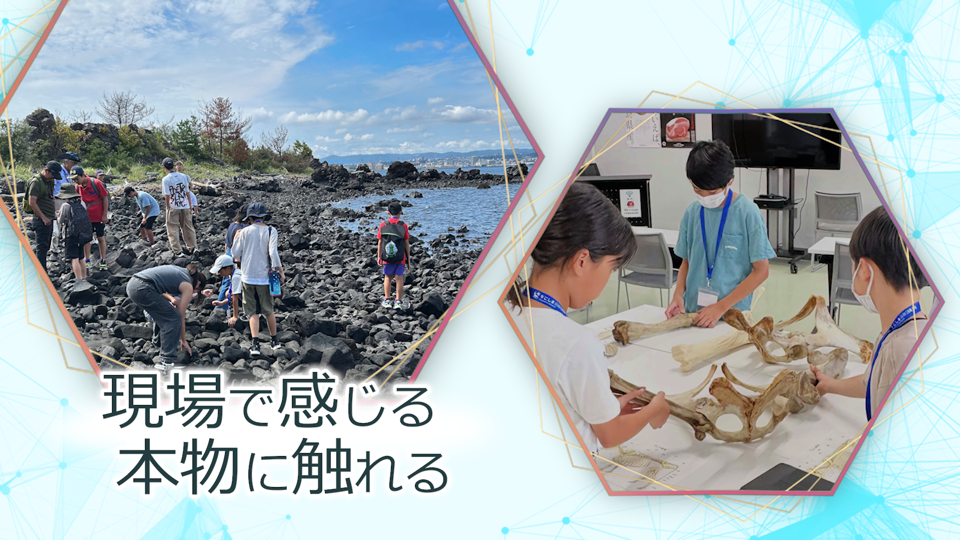 講座紹介動画サムネイル